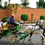 les-dimanches-d’aziz-daouda.-tres-cher-tourisme…