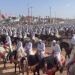 ​moussem-moulay-abdallah:-122-troupes-de-tbourida-–-dont-trois-exclusivement-feminines-–-et-2-065-chevaux