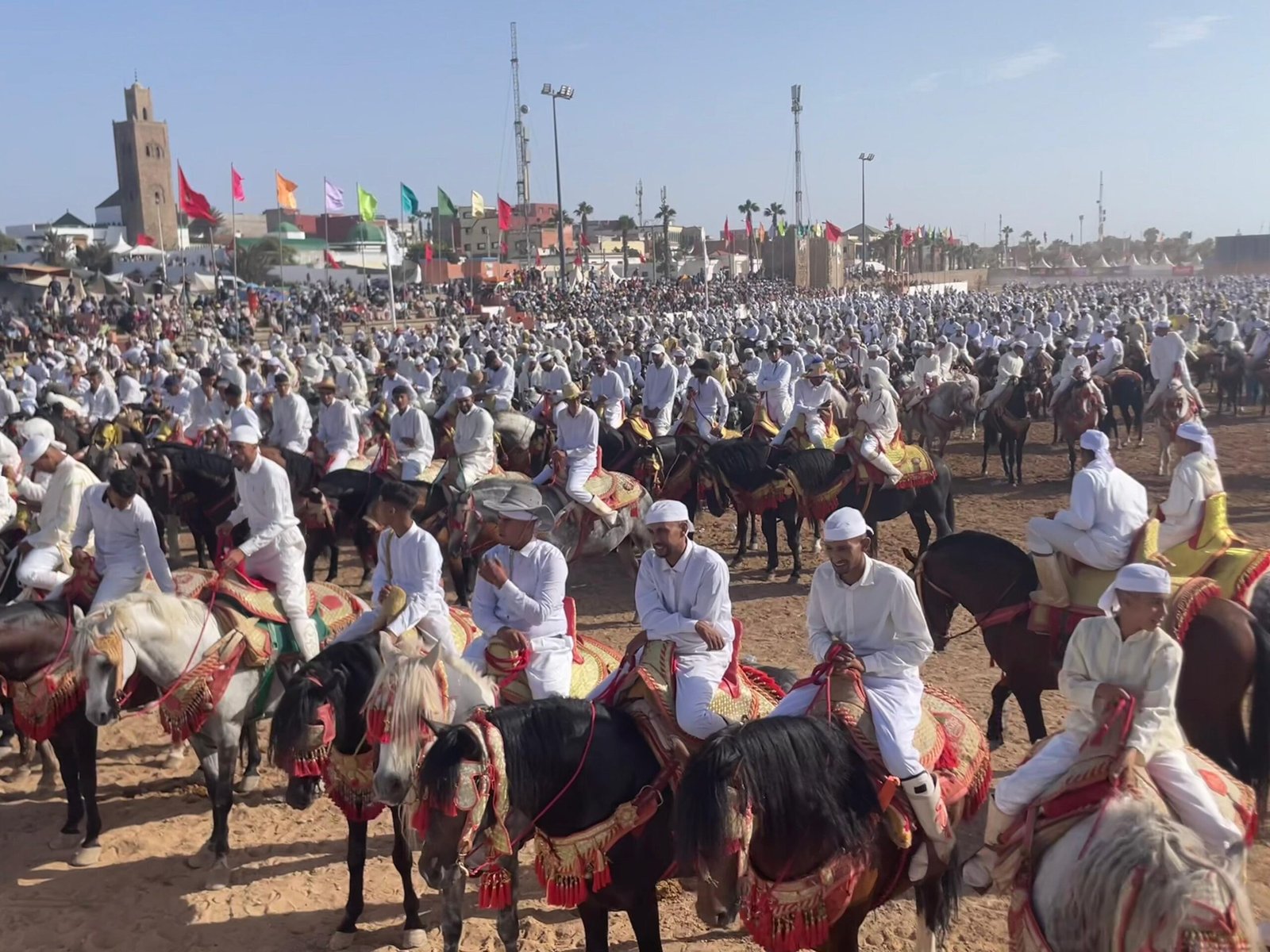 ​moussem-moulay-abdallah:-122-troupes-de-tbourida-–-dont-trois-exclusivement-feminines-–-et-2-065-chevaux