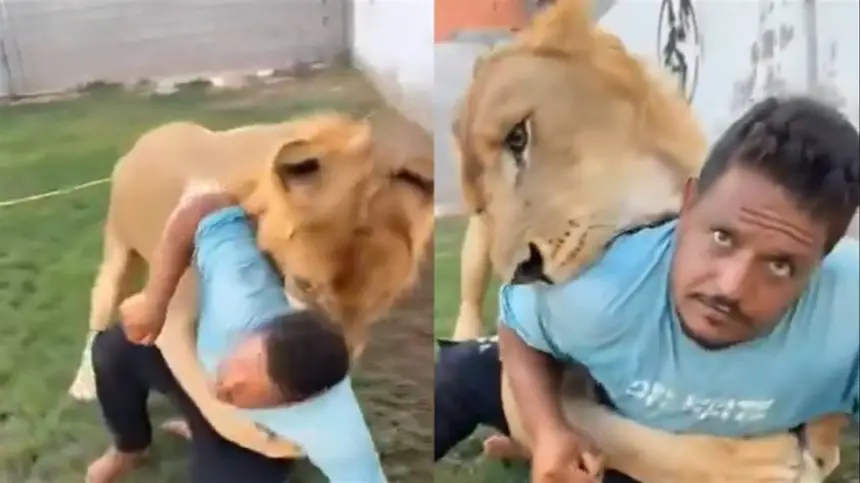 بالفيديو…-ليبي-يطلق-أسده-على-عامل-مصري