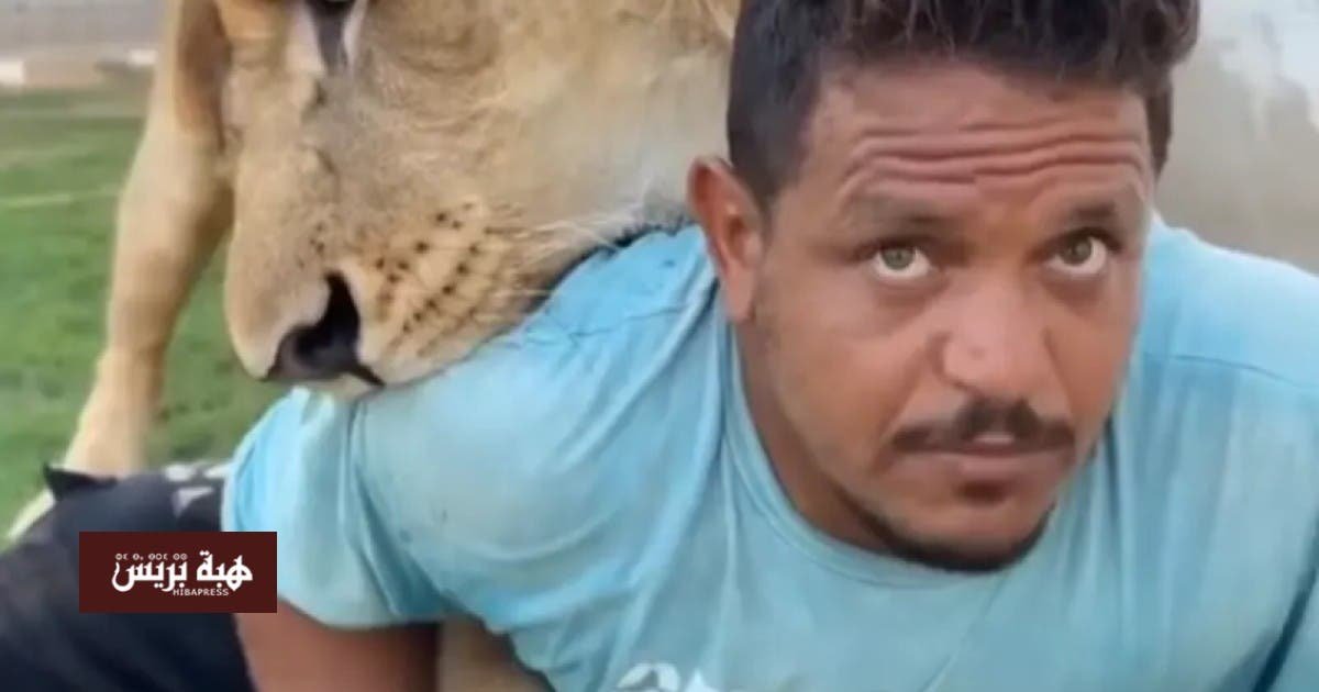 حبس-ليبي-أطلق-أسده-على-أشخاص-بدعوى-المزاح