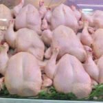 ارتفاع-أسعار-الدواجن-يسائل-البواري-ويختبر-نجاعة-إجراءات-وزارة-الفلاحة