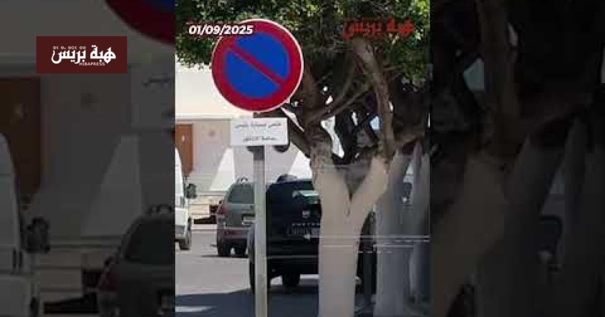 رئيس-جماعة-الناظور-يفتتح-اول-مشروع-له-موقف-خاص-لسيارته