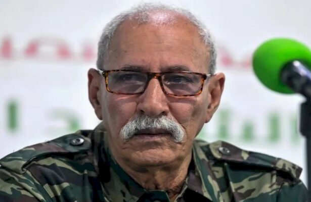 البوليساريو ترفع الراية البيضاء