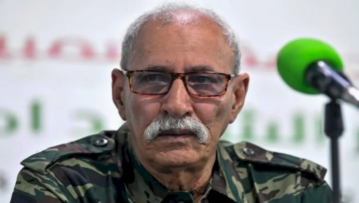 البوليساريو ترفع الراية البيضاء