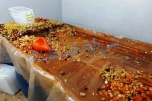 تصبير الزيتون وصناعة الهريسة بطرق عشوائية  يقلقان حماة المستهلك