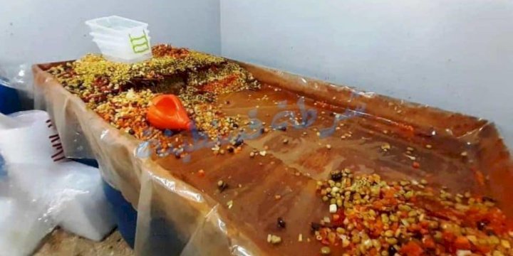 تصبير الزيتون وصناعة الهريسة بطرق عشوائية  يقلقان حماة المستهلك