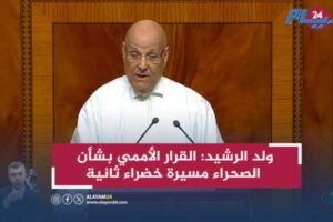 ولد الرشيد: القرار الأممي بشأن الصحراء مسيرة خضراء ثانية تؤكد مغربية الأقاليم الجنوبية