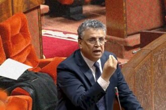 وهبي يرفض اعتبار الطلاق جريمة: شخصان اتفقا فتزوجا واتفقا فافترقا