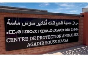 تزامنا مع افتتاح مركز حماية الحيوانات سوس ماسة.. سكان تيكيوين يطالبون بحل نهائي لمعضلة الكلاب الضالة