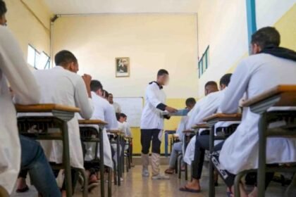 نزلاء السجون يحصلون السنة الماضية على دكتوراه واحدة و6 ماسترات و141 إجازة