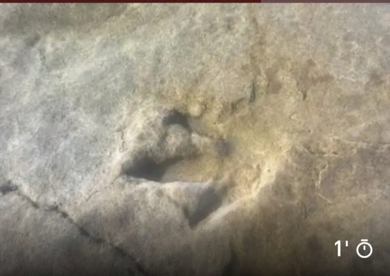 ثيروبود يعيد رسم خريطة الأطلسي: اكتشاف مسار ثان لآثار ديناصورات بأكادير عمرها 85 مليون سنة يعزز السياحة الجيولوجية