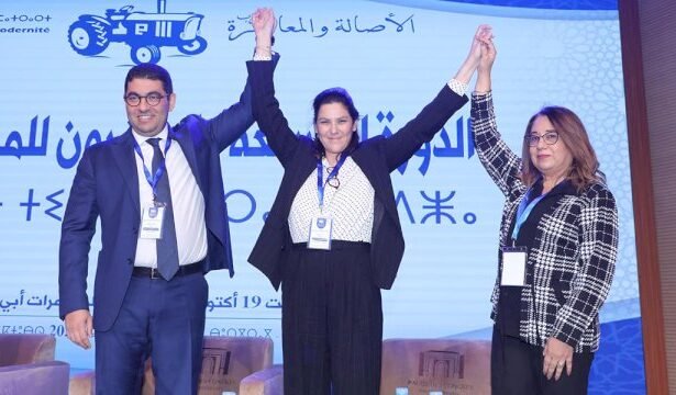 البام يتفاعل مع قرار مجلس الأمن وبنسعيد: نسعى لقراءة تطورات ملف الصحراء المغربية