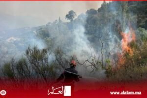 حرائق غابات ضخمة في الجزائر تهدد حياة السكان والسلطات تتحرك
