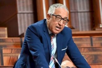 مصطفى القاسمي: الفلاحون الصغار يحتضرون ولقمة عيشهم مرتبطة بالعمل لدى كبار الفلاحين