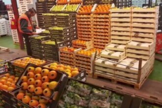 من حيث القيمة.. المغرب أكبر مورد لسوق الخضر والفواكه في إسبانيا