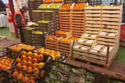من حيث القيمة.. المغرب أكبر مورد لسوق الخضر والفواكه في إسبانيا