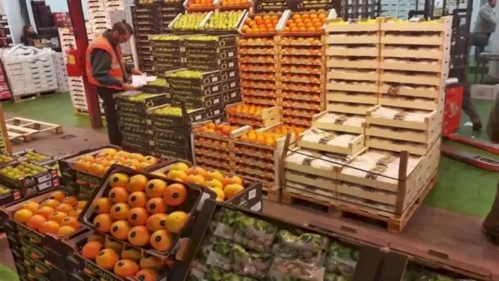 من حيث القيمة.. المغرب أكبر مورد لسوق الخضر والفواكه في إسبانيا