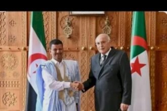 الذئب في ثياب الوسيط  مسرحية النزاع المفتعل التي لا تنتهي