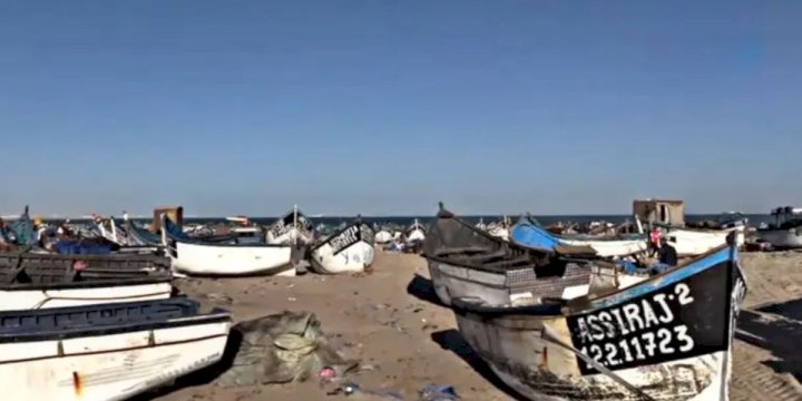 إعلان هام لمهنيي ومجهزي قوارب الصيد التقليدي بجهة الداخلة