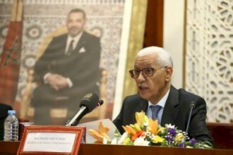 العلمي: التنمية الحقيقية رهينة بتعزيز سيادة دول إفريقيا على مواردها