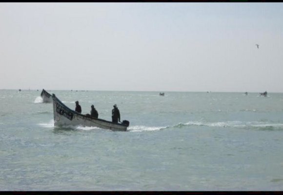 حملة مراقبة توقف 14 قاربا مخالفا بسواحل سيدي إفني