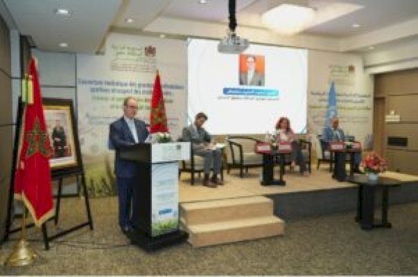 كلمة السيد المندوب الوزاري المكلف بحقوق الإنسان بمناسبة افتتاح الورشة التوعوية : التغطية الإعلامية للفعاليات الرياضية الكبرى وتعزيز حقوق الإنسان في الفضاء الرياضي