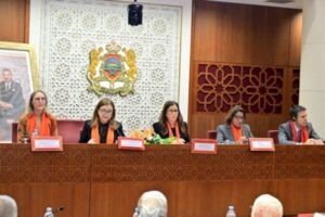 ابن يحيى تسجل أن القيمة الاقتصادية للعمل المنزلي تصل إلى 513 مليار درهم