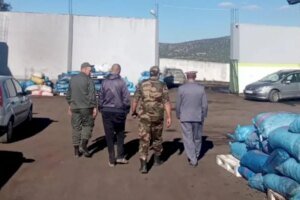 وزان.. السلطة الإقليمية ترصد عدة مخالفات داخل معاصر الزيتون بالتزامن مع موسم الجني