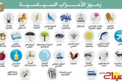 الصناديق تريد وجوها جديدة