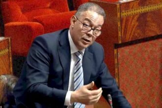 لقجع يدافع عن نجاعة برامج الدعم الاجتماعي المباشر