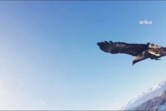 بالفيديو: نسر يختطف طائرة “درون” ويلتقط “سيلفي” في سماء تركيا.
