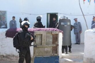 الدرون تطيح ببارون مخدرات مسلح