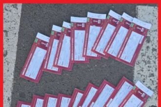 المضاربة في تذاكر الكان يجر 118 شخصا للبحث القضائي