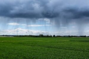 الأمطار الأخيرة تؤشر على موسم فلاحي استثنائي