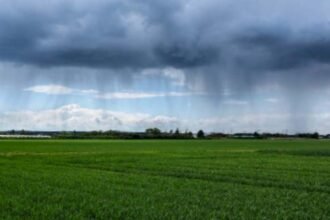 الأمطار الأخيرة تؤشر على موسم فلاحي استثنائي