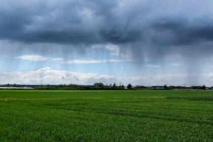 الأمطار الأخيرة تؤشر على موسم فلاحي استثنائي