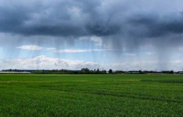 الأمطار الأخيرة تؤشر على موسم فلاحي استثنائي