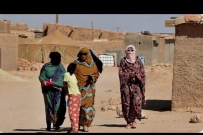 تندوف أكبر خدعة ديموغرافية في تاريخ النزاع بالصحراء