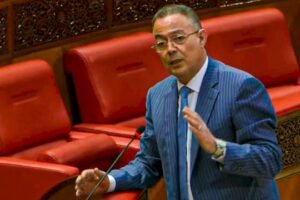 لقجع: ما ينجز في القطاع الصحي اليوم هو نتاج قرار سياسي للحكومة