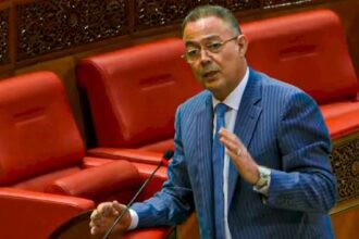 لقجع: ما ينجز في القطاع الصحي اليوم هو نتاج قرار سياسي للحكومة