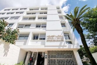 تهريب مليارين يورط مستوردين