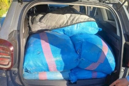 مطاردة هوليودية تنتهي بحجز سيارة محملة بنصف طن من المخدرات بسيدي علال التازي