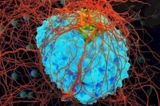 علماء روس يطورون مركبات نحاسية تستهدف الحمض النووي للخلايا السرطانية