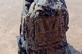 مصرع سيدتين وإصابة عشرة أشخاص في حادث سير مأساوي بضواحي كلميم