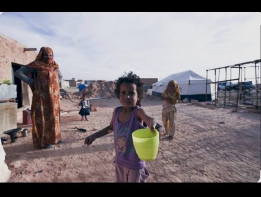 تندوف جرح مفتوح في سجل حقوق الإنسان: قراءة تحليلية في ضوء تقارير أممية ودولية