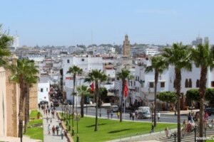 الدعوة بالرباط إلى تشجيع تصدير الصناعات الثقافية والإبداعية الإفريقية