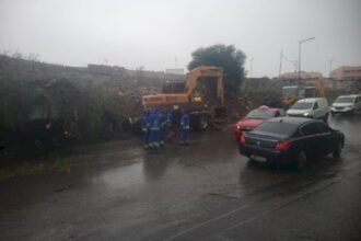 تنفيذ عملية واسعة لهدم مستودعات عشوائية لتخزين مواد البناء بسيدي البرنوصي