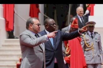 من يبني إفريقيا ومن يعرقلها: من يخدم القارة ومن يستخدمها