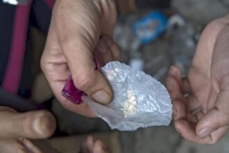 تراجع كبير في عدد قضايا مخدر البوفا بالمغرب خلال 2025